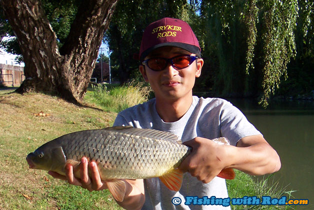 Common carp from Ladner BC