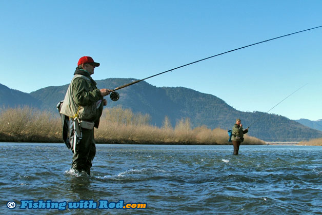 Volunteer Chilliwack River steelhead broodstock anglers