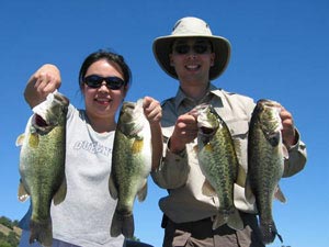 Good catches of largemouth bass