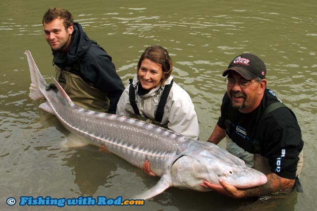 white sturgeon fishing