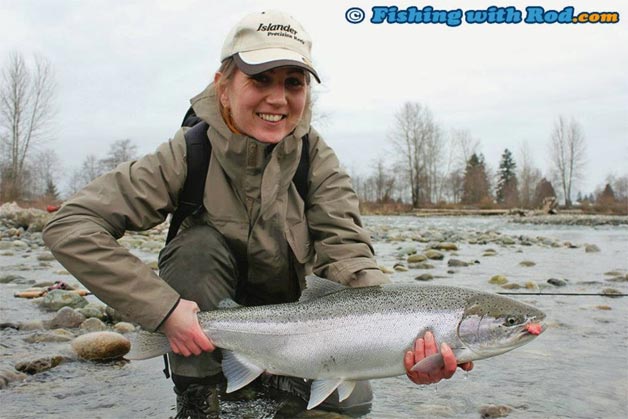 This large winter steelhead is the ideal specimen for posing with an angler to bring out its true size