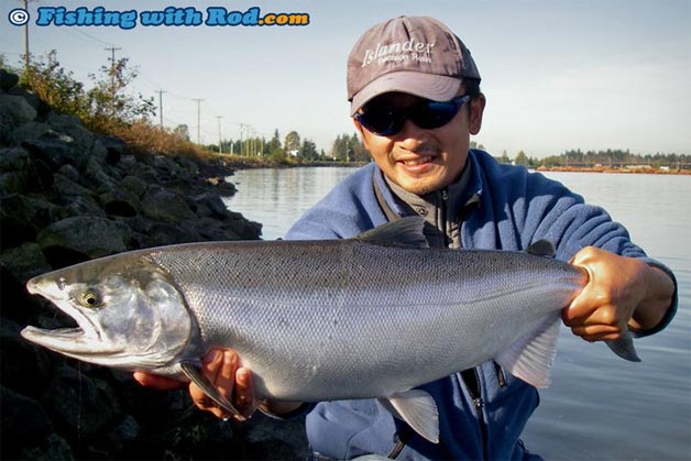 This coho salmon cannot be handled with one hand so two hands are used to hold it for the photograph