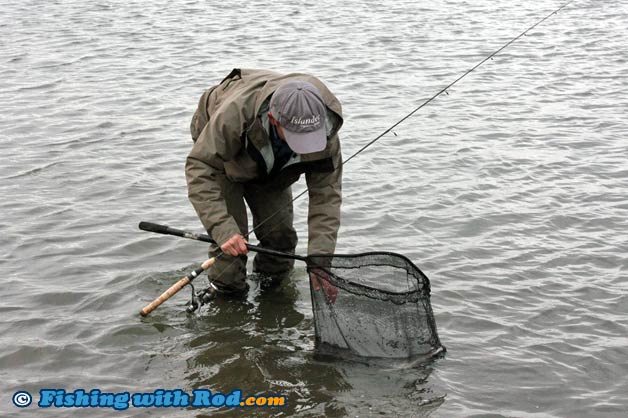 Using a landing net to handle a fish for photographing