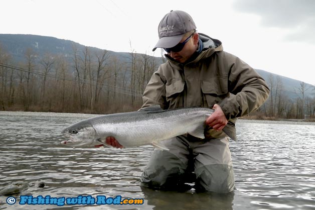 After dispatching this hatchery-marked steelhead, I decided to take a photo with it on my own