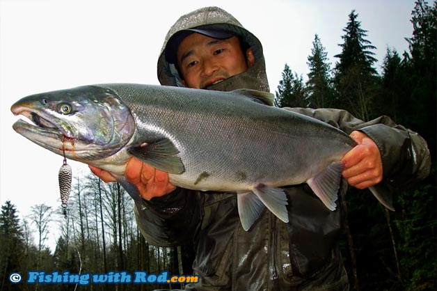 The camera is placed slightly below and point up at this coho salmon when the photograph was taken