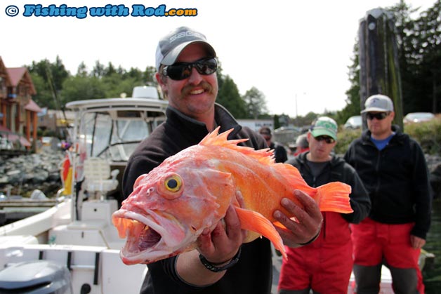 Big rockfish in Ucluelet BC