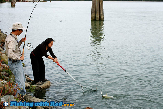 Catching pink salmon in Tidal Fraser River