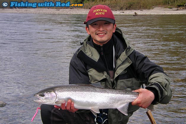 A fresh steelhead caught on a large pink worm