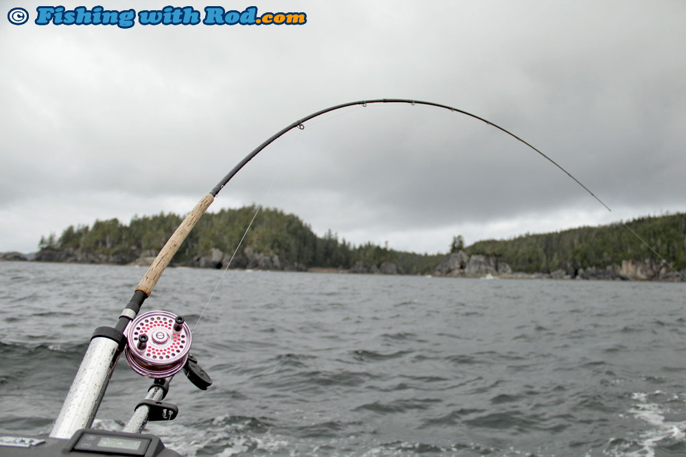 Islander Mooching Reels and Shimano Rods are Standard Setups for Salmon  Trolling « Fishing with Rod Blog