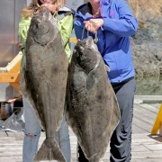 A Pair of Big Halibut