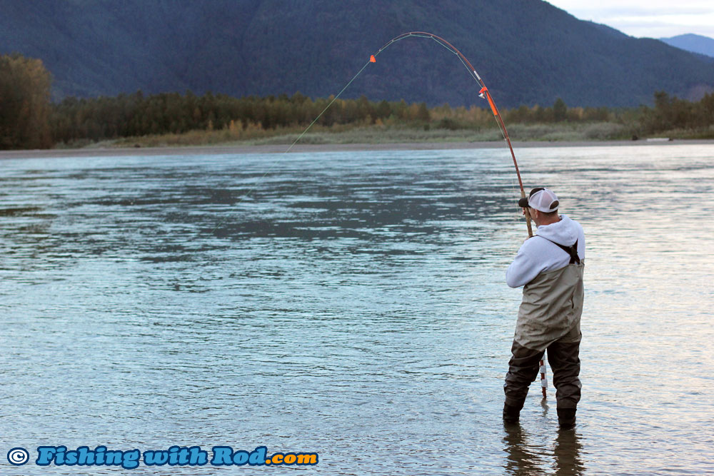 Bar Fishing Fight Sequence « Fishing with Rod Blog