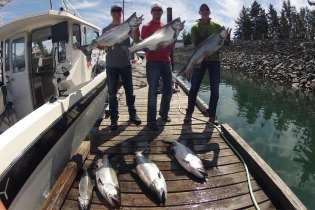 Campbell River chinook salmon