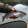 Lower Mainland Fishing Report Lower Mainland Fishing Report