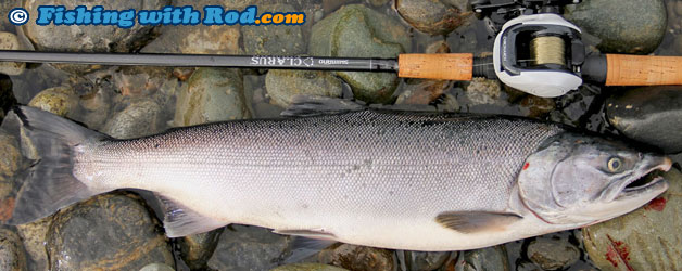 2012 Chilliwack River Fall Coho Salmon Fishery Survey