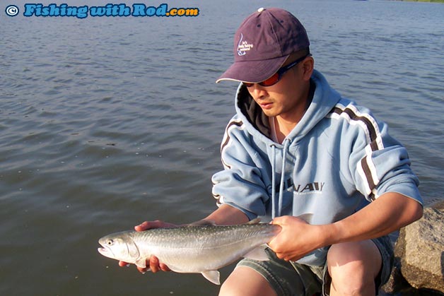 https://www.fishingwithrod.com/articles/estuary_fishing/images/does_your_bait_work_while_barfishing_01.jpg
