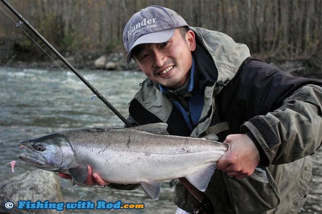 Salmon in Freshwater, Fishing in BC