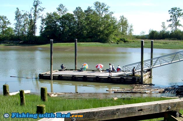 Dyke Road (between No. 4 & 5 Road), Richmond, Tidal Fraser River