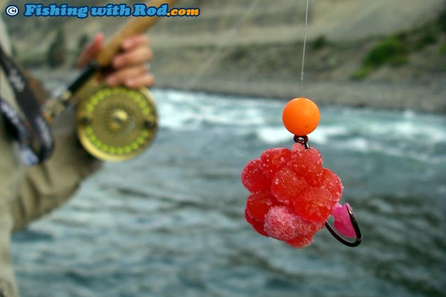 Salmon egg curing : r/Fishing