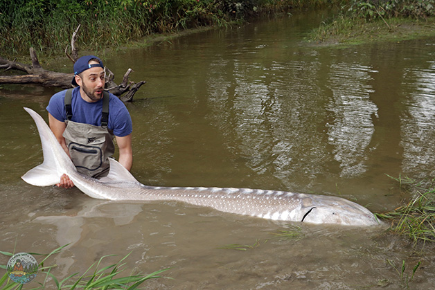 ᐅ Willband Creek fishing reports🎣• Lynden, British Columbia (Canada)  fishing