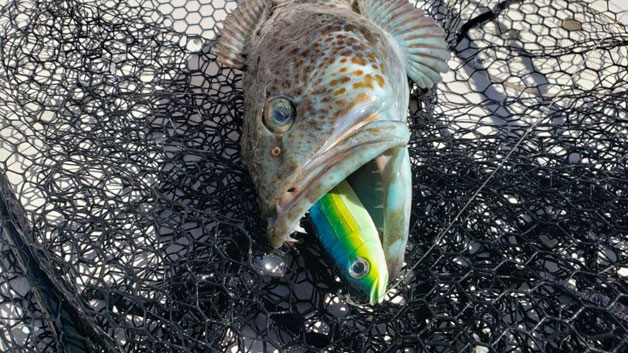 Oyster River, fly fishing, Vancouver Island, British Columbia