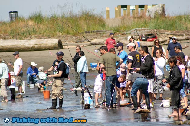 Steveston Bullhead Derby at Garry Point Park