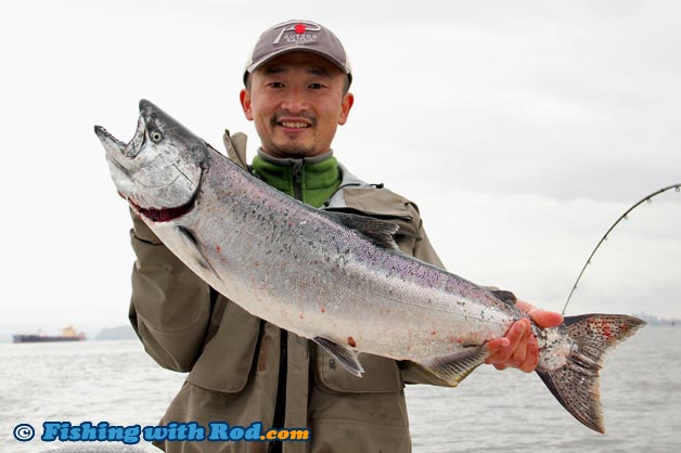 Vancouver Harbour winter chinook salmon fishing