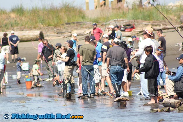 Steveston Bullhead Derby