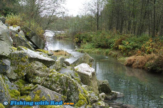 A small side channel of a river