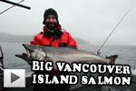 Big Vancouver Island Salmon