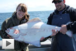 Her First BC Halibut